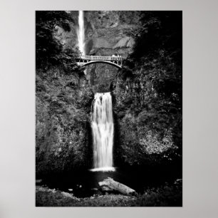 Oregon Waterfalls (Black and White) Poster