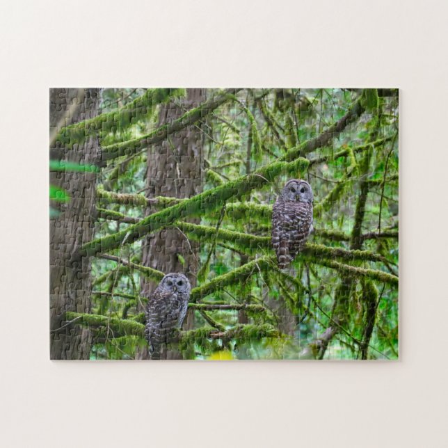 Oregon Wild Owl's. Jigsaw Puzzle (Horizontal)