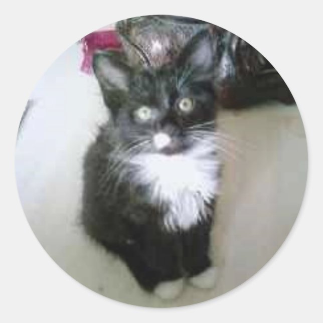 "OREO" CLASSIC ROUND STICKER (Front)