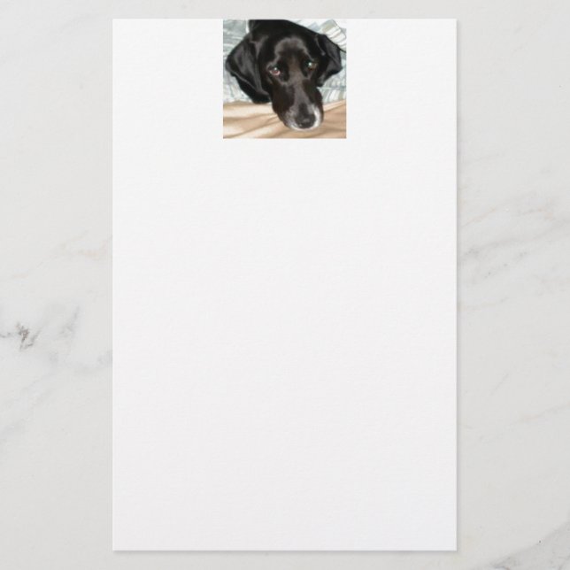 Oreo the English Springer Spaniel Dog Stationery (Front)