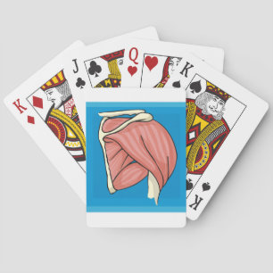 Organ Illustration Playing Cards