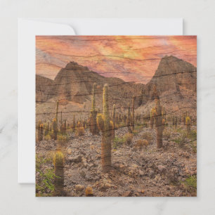 Organ Pipe Cactus On Wood Grain Sunset Photo Card