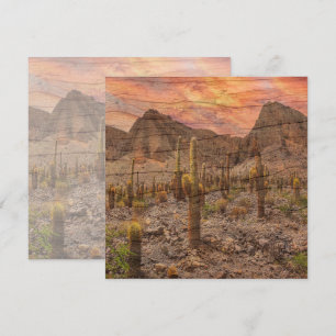 Organ Pipe Cactus On Wood Grain Sunset Photo Card
