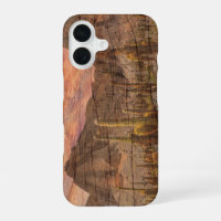 Organ Pipe Cactus On Wood Grain Sunset Photo