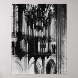 Organ Poster
