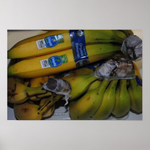 Organic Bananas Poster