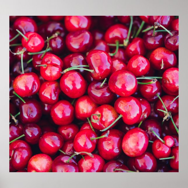 Organic California Cherries Celebration Poster (Front)