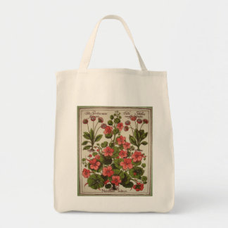 Organic Canvas Tote Bag