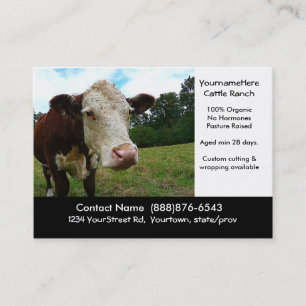 Organic Cattle Beef Ranch or Butcher Business Card