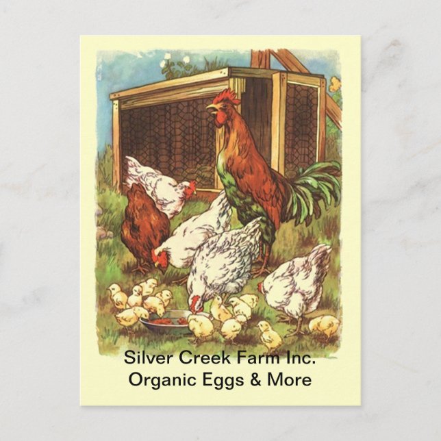 Organic Free Range Eggs Chickens Market POSTCARD (Front)