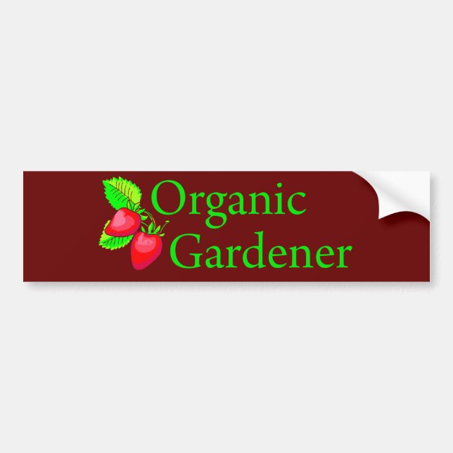 Organic Gardener - Strawberries Bumper Sticker (Front)