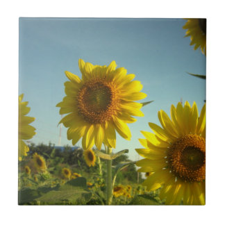 Organic Gardening Tile