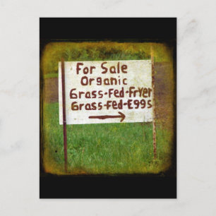 Organic Grass Fed Eggs and Fryers Postcard