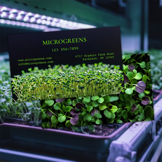 Organic Microgreens Business Card (Creator Uploaded)