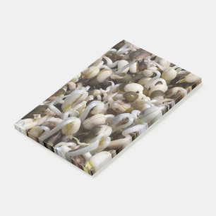 Organic Mung Sprouts – A Nutrient-Packed Superfood Post-it Notes