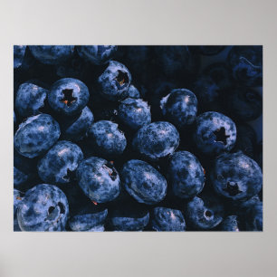 Organic Ripe Bunch of Blueberries Poster