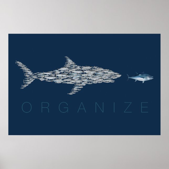 Organise Fish Poster (Front)