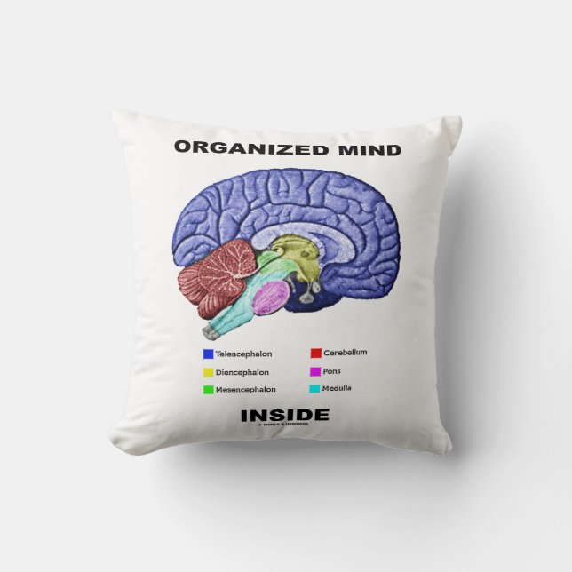 Organised Mind Inside (Anatomical Brain Attitude) Cushion (Front)