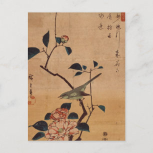 Oriental Camellia and Warbler Postcard