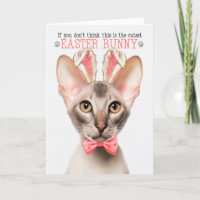 Oriental Cat Cutest Easter Bunny Kitty Puns