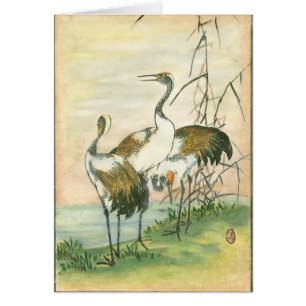 Oriental Cranes by the Water