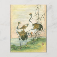 Oriental Cranes by the Water