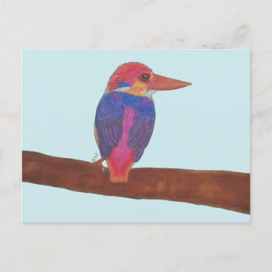 ORIENTAL DWARF KINGFISHER HOLIDAY POSTCARD