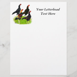 Oriental Game Fowl Quartet