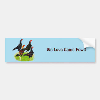 Oriental Game Fowl Quartet Bumper Sticker