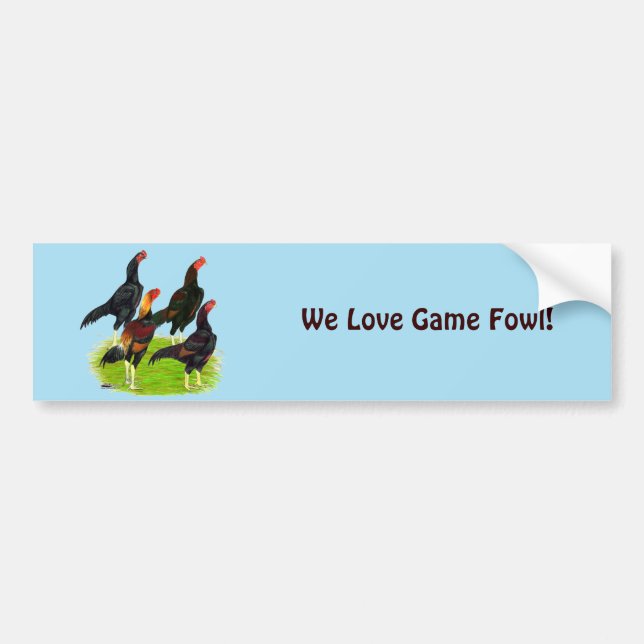 Oriental Game Fowl Quartet Bumper Sticker (Front)