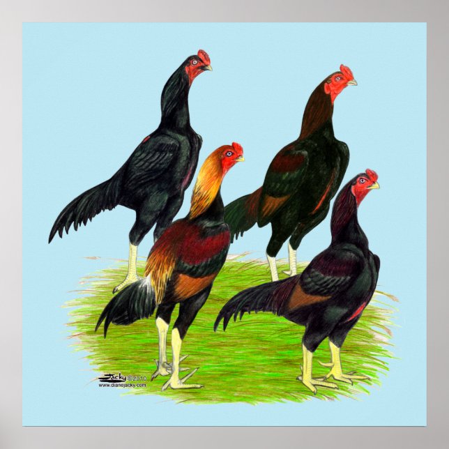 Oriental Game Fowl Quartet Poster (Front)