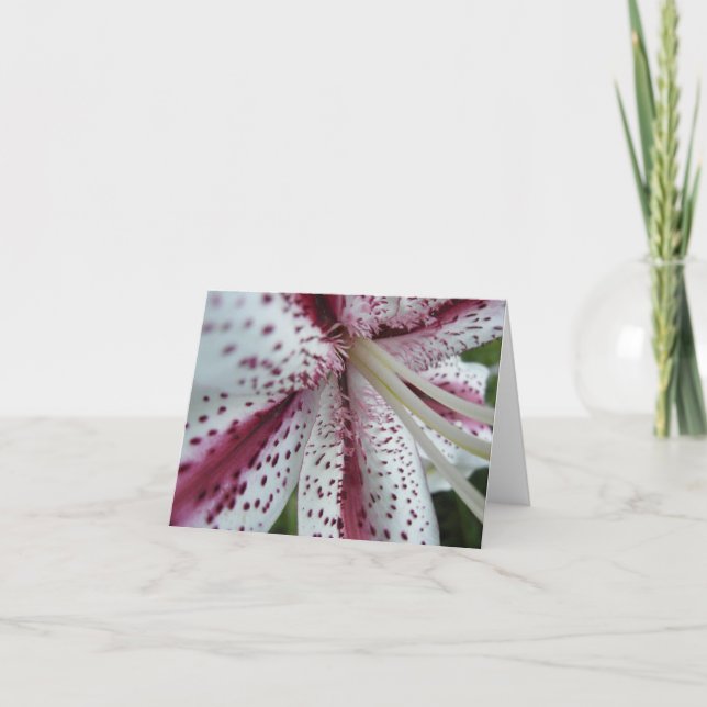 Oriental lily notecard (Front)