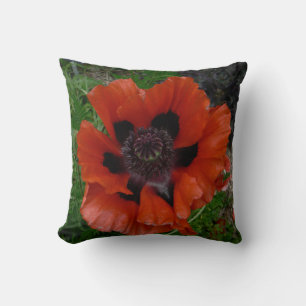 Oriental poppy cushion