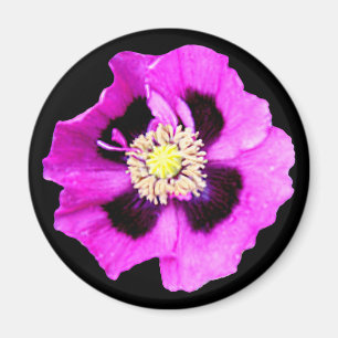 Oriental Poppy fridge magnet black