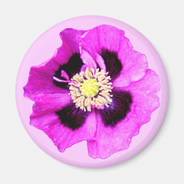 Oriental Poppy fridge magnet pink (Front)