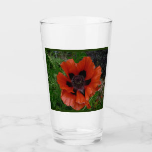 Oriental poppy          glass