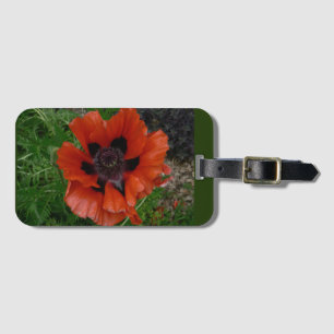 Oriental poppy luggage tag