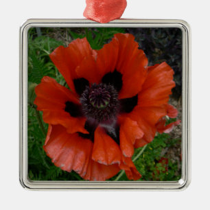 Oriental poppy   metal tree decoration