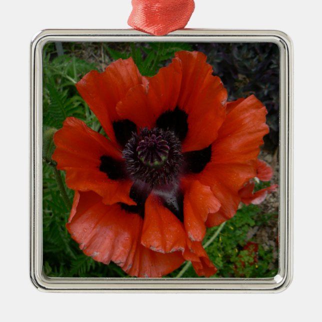 Oriental poppy   metal tree decoration (Front)