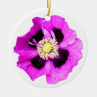 Oriental poppy ornament white