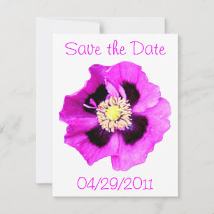 Oriental Poppy 'Save the Date' announcement white