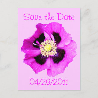 Oriental Poppy 'Save the Date' postcard pink