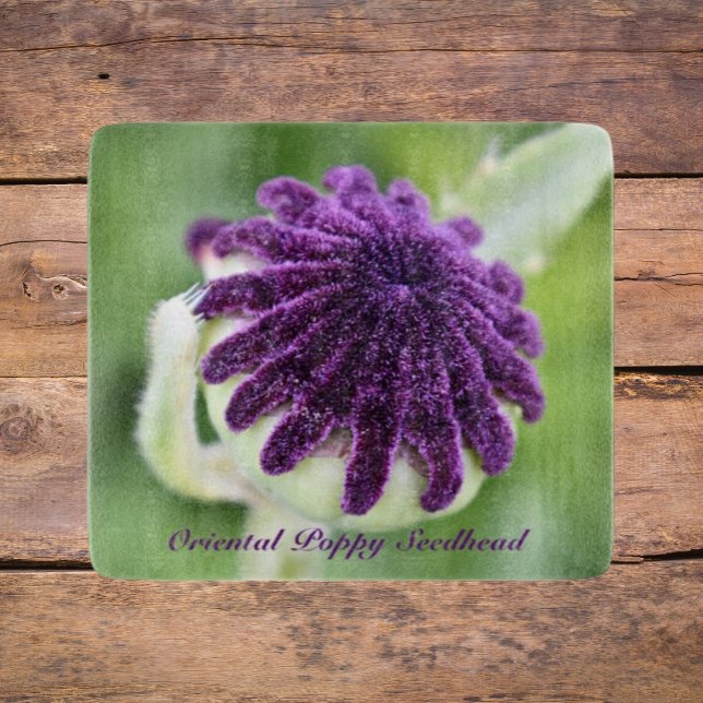 Oriental Poppy Seed Head Floral Cutting Board (In Situ)