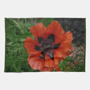 Oriental poppy        tea towel