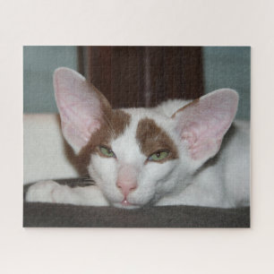 Oriental Shorthair Cat Jigsaw Puzzle