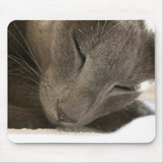 Oriental Shorthair Cat Mouse Mat
