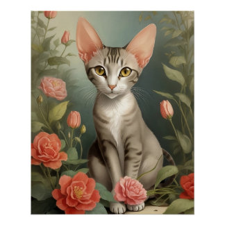 Oriental Shorthair Cat Poster