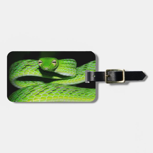 Oriental Whip Snake Luggage Tag (Front Horizontal)