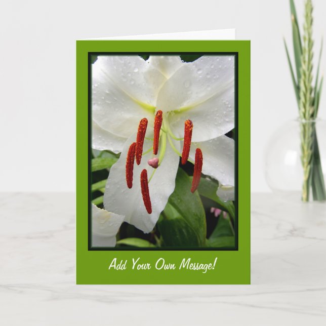 Oriental White Lily Card (Front)