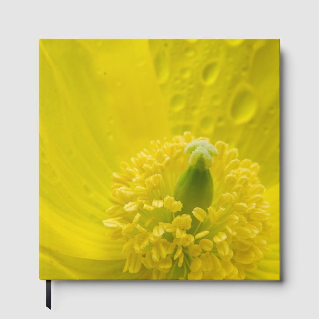 Oriental Yellow Poppy Guest Book (Front)